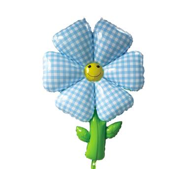 Smiley Sunflower