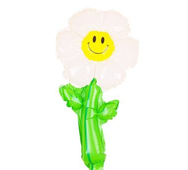 Daisy Hand Bouquet