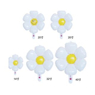 White Daisy
